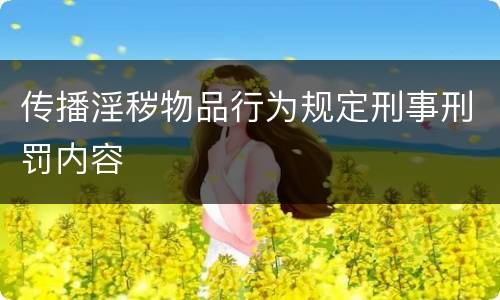 传播淫秽物品行为规定刑事刑罚内容