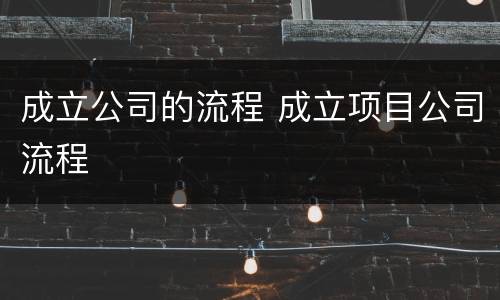 成立公司的流程 成立项目公司流程