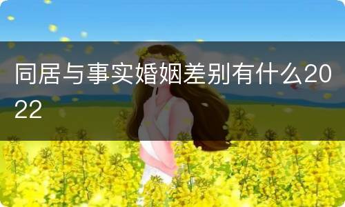 同居与事实婚姻差别有什么2022