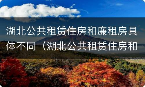 湖北公共租赁住房和廉租房具体不同（湖北公共租赁住房和廉租房具体不同点）