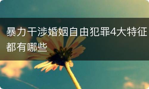 暴力干涉婚姻自由犯罪4大特征都有哪些