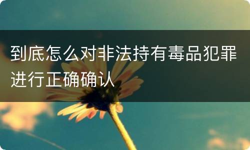 到底怎么对非法持有毒品犯罪进行正确确认