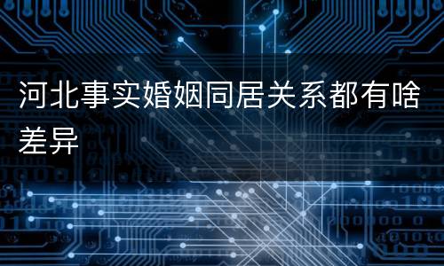 河北事实婚姻同居关系都有啥差异