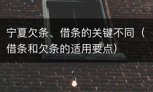 宁夏欠条、借条的关键不同（借条和欠条的适用要点）
