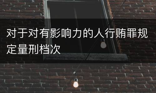 对于对有影响力的人行贿罪规定量刑档次