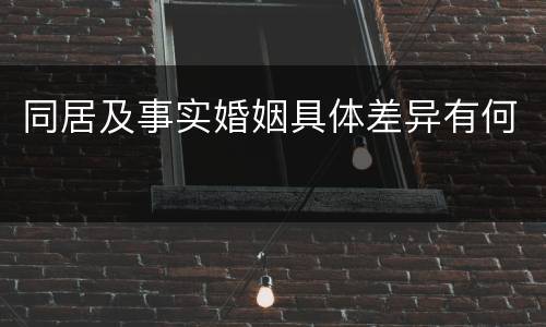 同居及事实婚姻具体差异有何