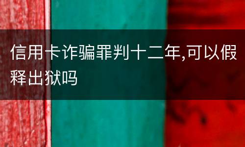 信用卡诈骗罪判十二年,可以假释出狱吗
