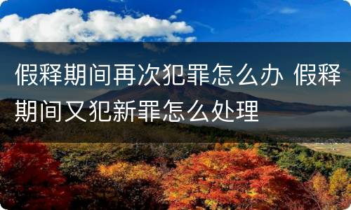 假释期间再次犯罪怎么办 假释期间又犯新罪怎么处理