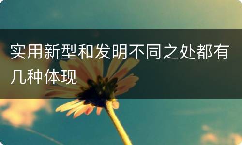 实用新型和发明不同之处都有几种体现
