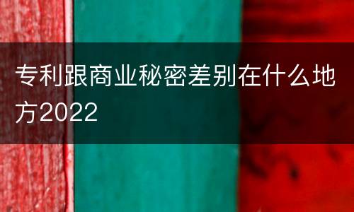 专利跟商业秘密差别在什么地方2022
