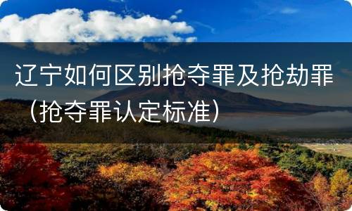 辽宁如何区别抢夺罪及抢劫罪（抢夺罪认定标准）