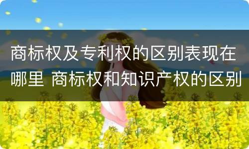 商标权及专利权的区别表现在哪里 商标权和知识产权的区别
