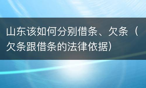 山东该如何分别借条、欠条（欠条跟借条的法律依据）