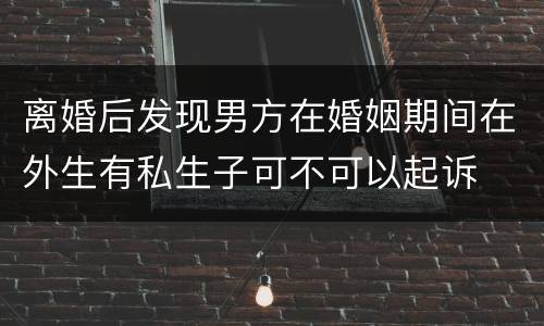离婚后发现男方在婚姻期间在外生有私生子可不可以起诉