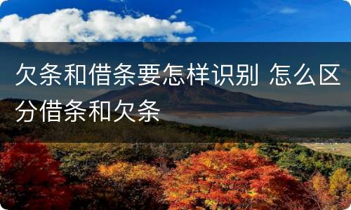 欠条和借条要怎样识别 怎么区分借条和欠条