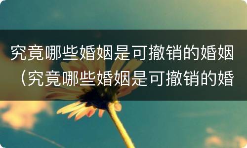 究竟哪些婚姻是可撤销的婚姻（究竟哪些婚姻是可撤销的婚姻呢）