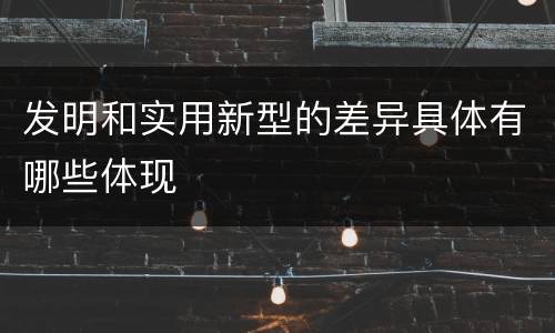 发明和实用新型的差异具体有哪些体现