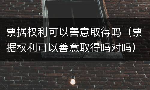 票据权利可以善意取得吗（票据权利可以善意取得吗对吗）