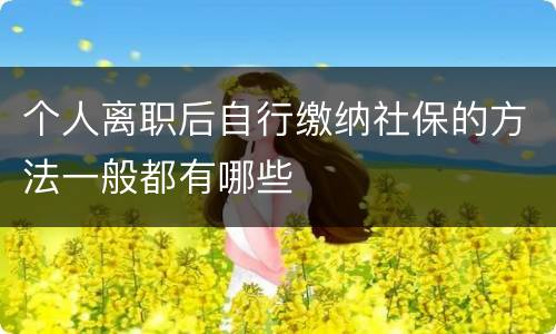 个人离职后自行缴纳社保的方法一般都有哪些