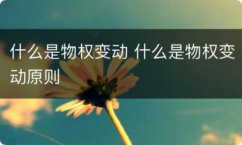 什么是物权变动 什么是物权变动原则