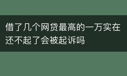 借了几个网贷最高的一万实在还不起了会被起诉吗