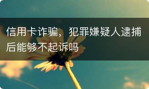 信用卡诈骗，犯罪嫌疑人逮捕后能够不起诉吗