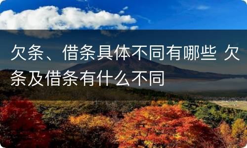 欠条、借条具体不同有哪些 欠条及借条有什么不同