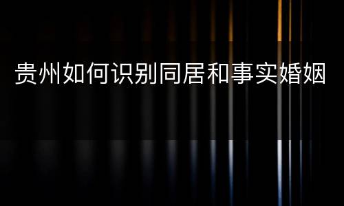 贵州如何识别同居和事实婚姻
