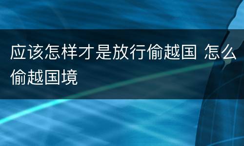 应该怎样才是放行偷越国 怎么偷越国境