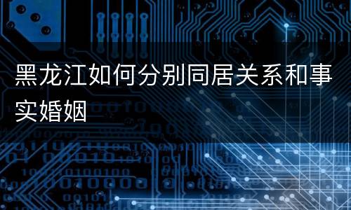 黑龙江如何分别同居关系和事实婚姻