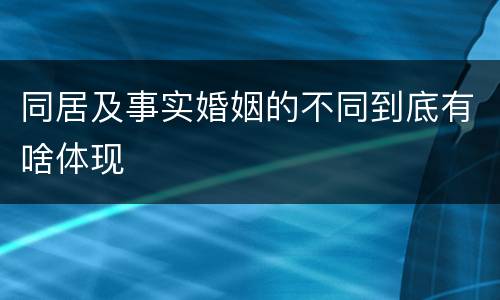 同居及事实婚姻的不同到底有啥体现