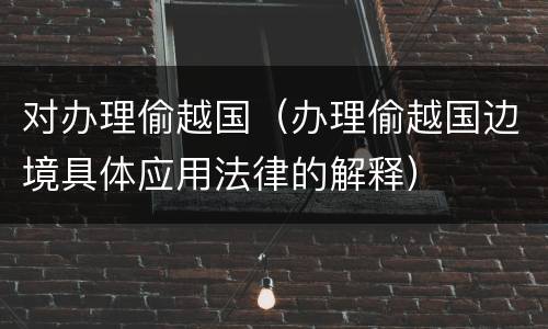 对办理偷越国（办理偷越国边境具体应用法律的解释）