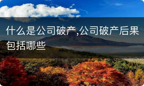 什么是公司破产,公司破产后果包括哪些