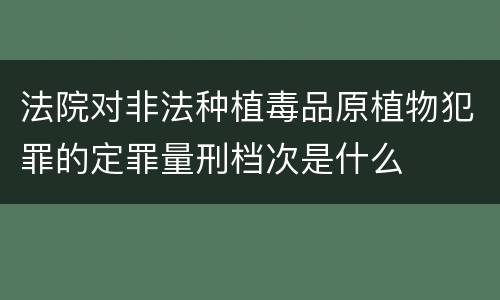 法院对非法种植毒品原植物犯罪的定罪量刑档次是什么