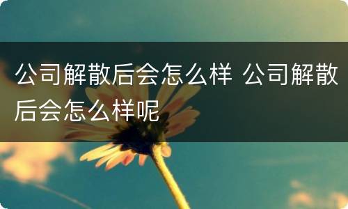 公司解散后会怎么样 公司解散后会怎么样呢