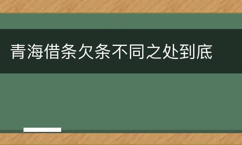 青海借条欠条不同之处到底