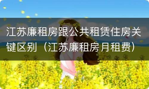 江苏廉租房跟公共租赁住房关键区别（江苏廉租房月租费）