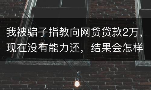 我被骗子指教向网贷贷款2万，现在没有能力还，结果会怎样