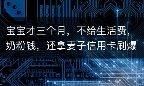 宝宝才三个月，不给生活费，奶粉钱，还拿妻子信用卡刷爆了，没有偿还