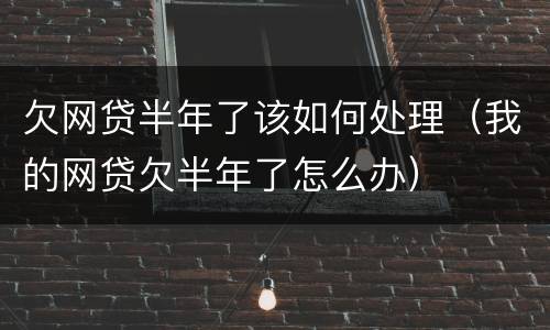 欠网贷半年了该如何处理（我的网贷欠半年了怎么办）
