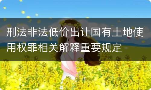 刑法非法低价出让国有土地使用权罪相关解释重要规定