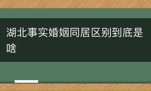 湖北事实婚姻同居区别到底是啥