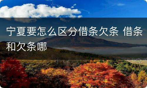 宁夏要怎么区分借条欠条 借条和欠条哪