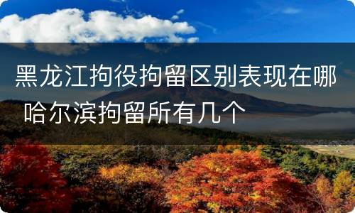 黑龙江拘役拘留区别表现在哪 哈尔滨拘留所有几个