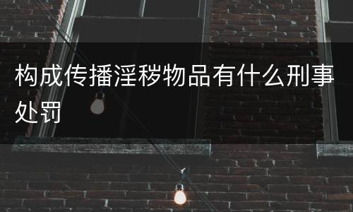 构成传播淫秽物品有什么刑事处罚