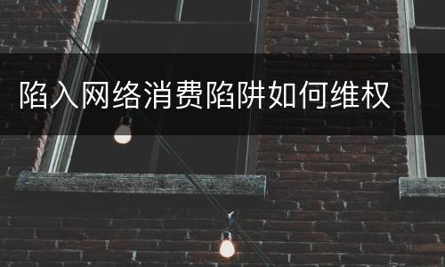 陷入网络消费陷阱如何维权