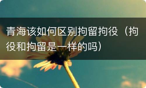 青海该如何区别拘留拘役（拘役和拘留是一样的吗）