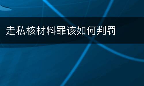 走私核材料罪该如何判罚