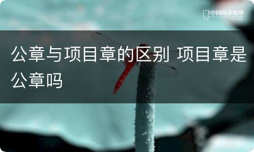 公章与项目章的区别 项目章是公章吗