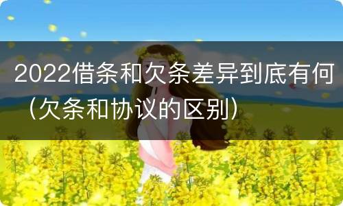 2022借条和欠条差异到底有何（欠条和协议的区别）
